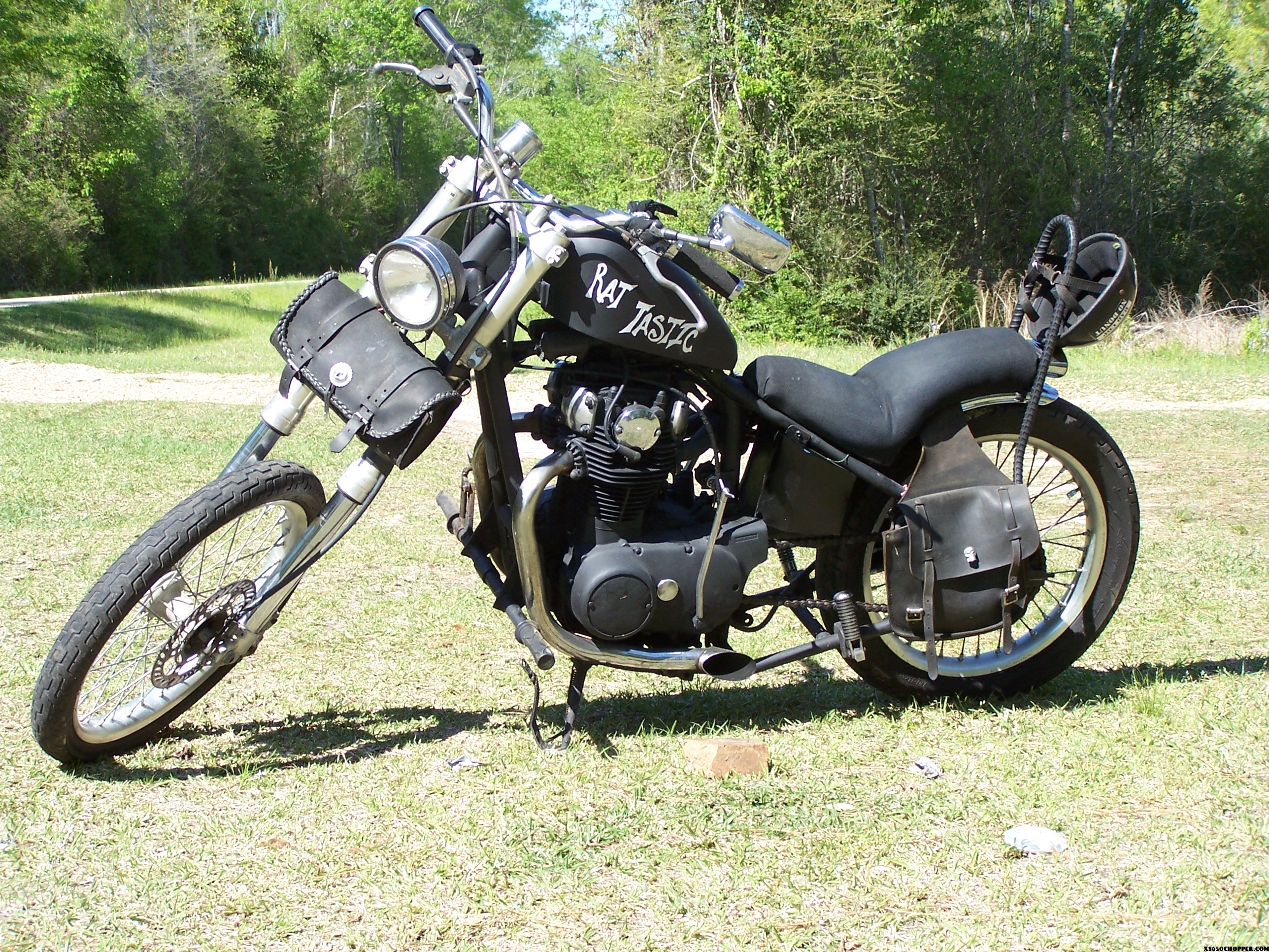 Rat Tastic