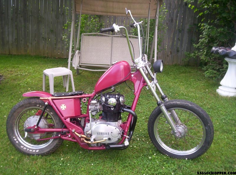 Low budget Brat style Bobber “Alycat”