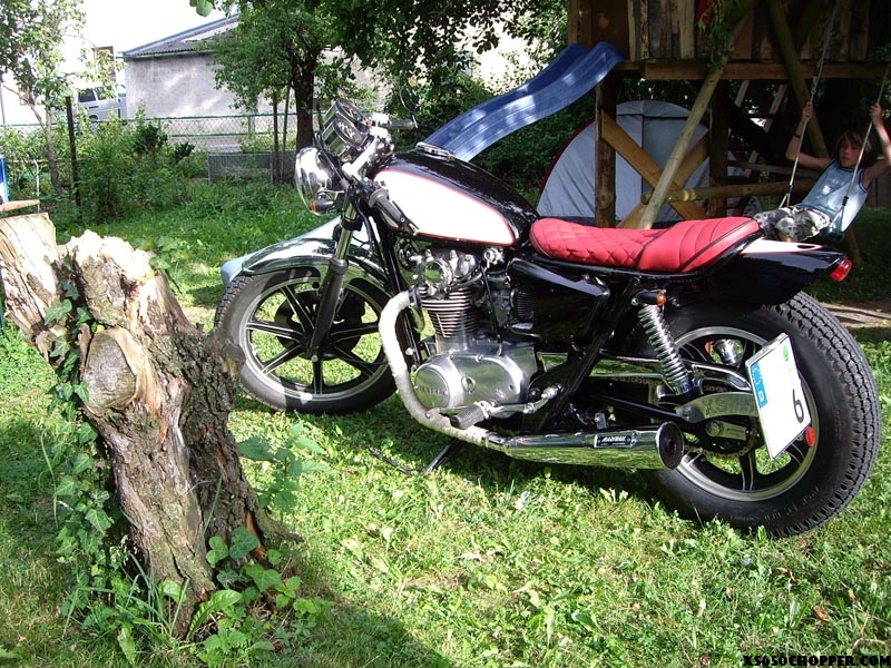 Tom`s 81 XS Bobber