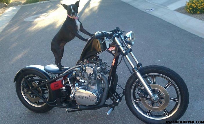 AZ Bonneville