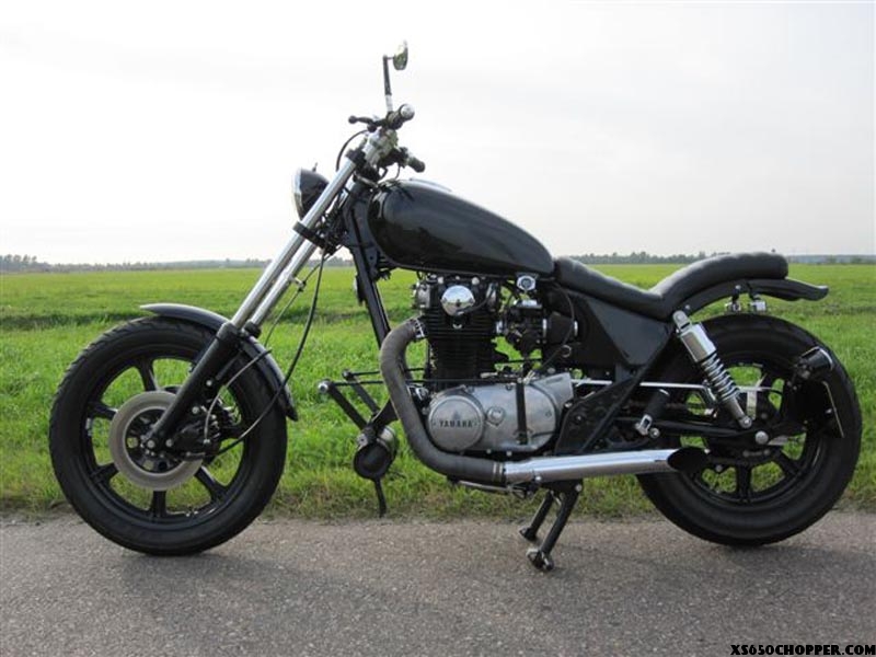 METSCH-XS650 chopper