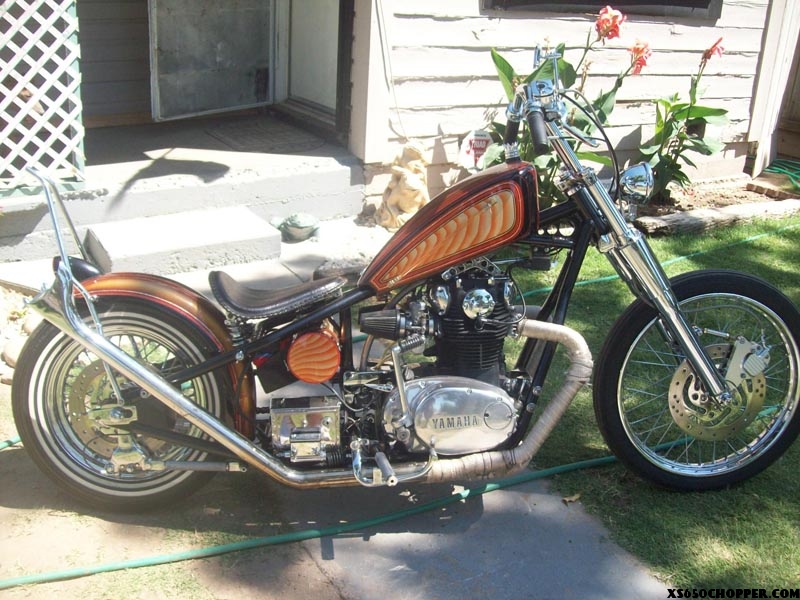 Bad to the bone xs