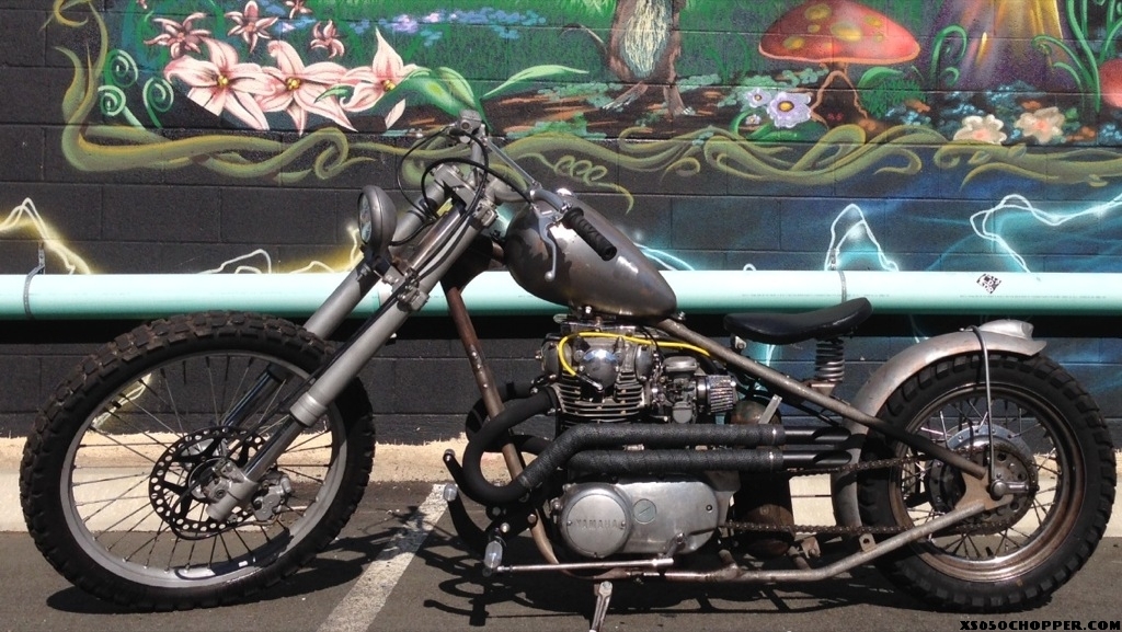 72 rat
