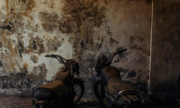 What Happens When a Motorcycle Sits For Years?